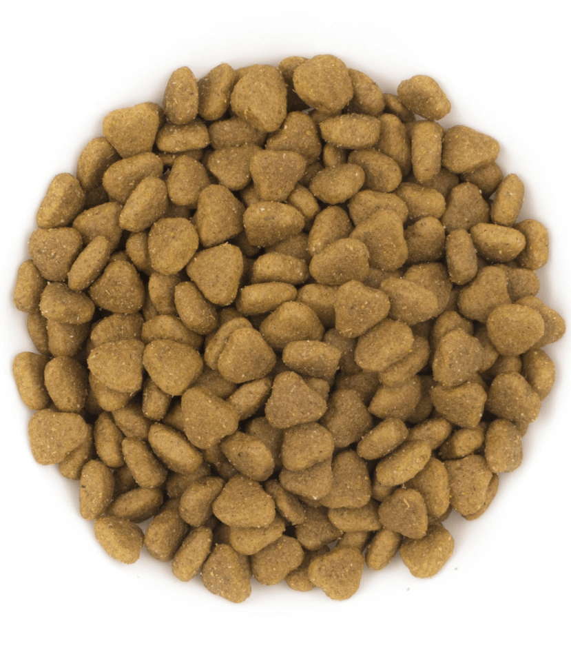 Avantis Pure - Farmer Adult With Lamb 2kg-12kg