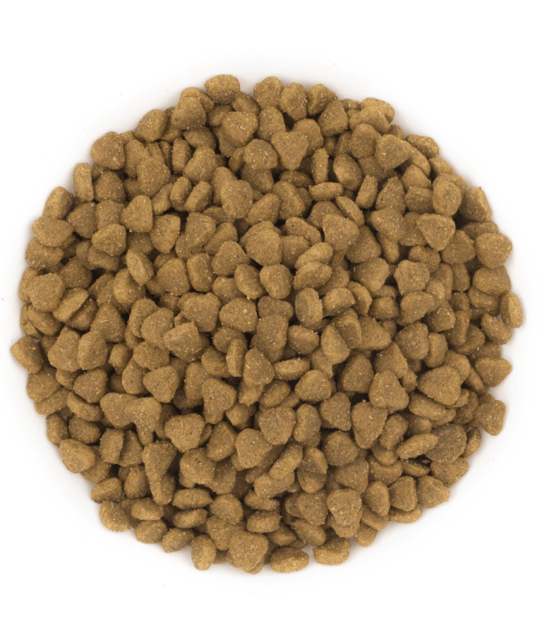 Avantis Pure - Mini Adult With Chicken 2kg