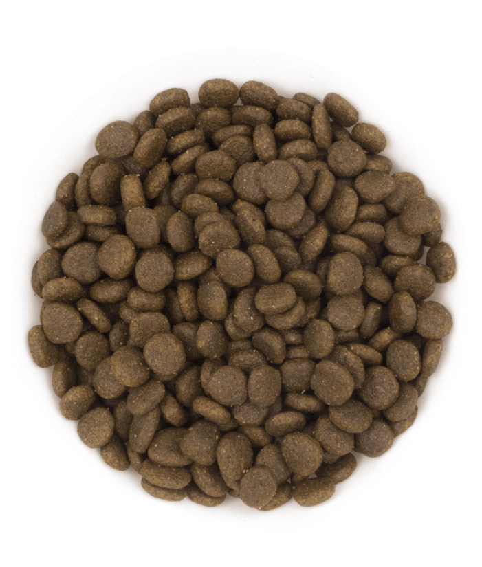 Avantis Pure - Oceanic Adult Dog With Salmon 2kg-12kg