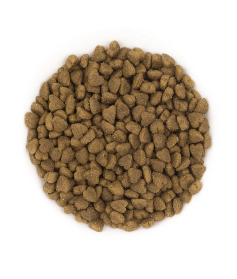 Avantis pure - Urban Adult Cat 2KG
