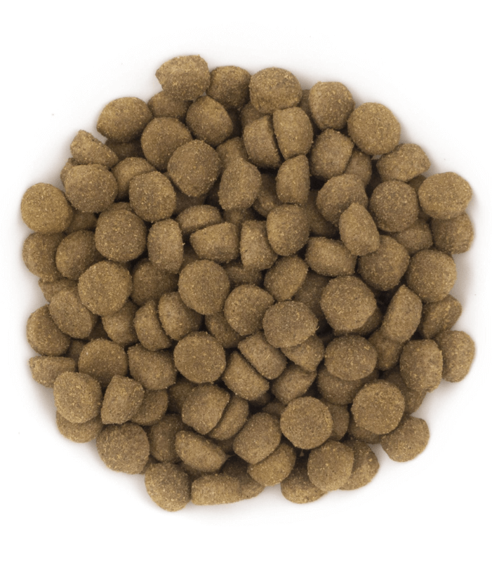 Avantis Pet - Original With Pork for Adult Dog 3kg-15kg