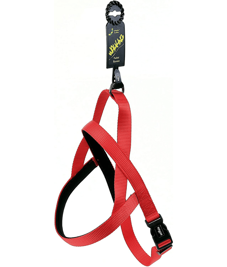 Animate Neoprene Padded Red Dog Harness