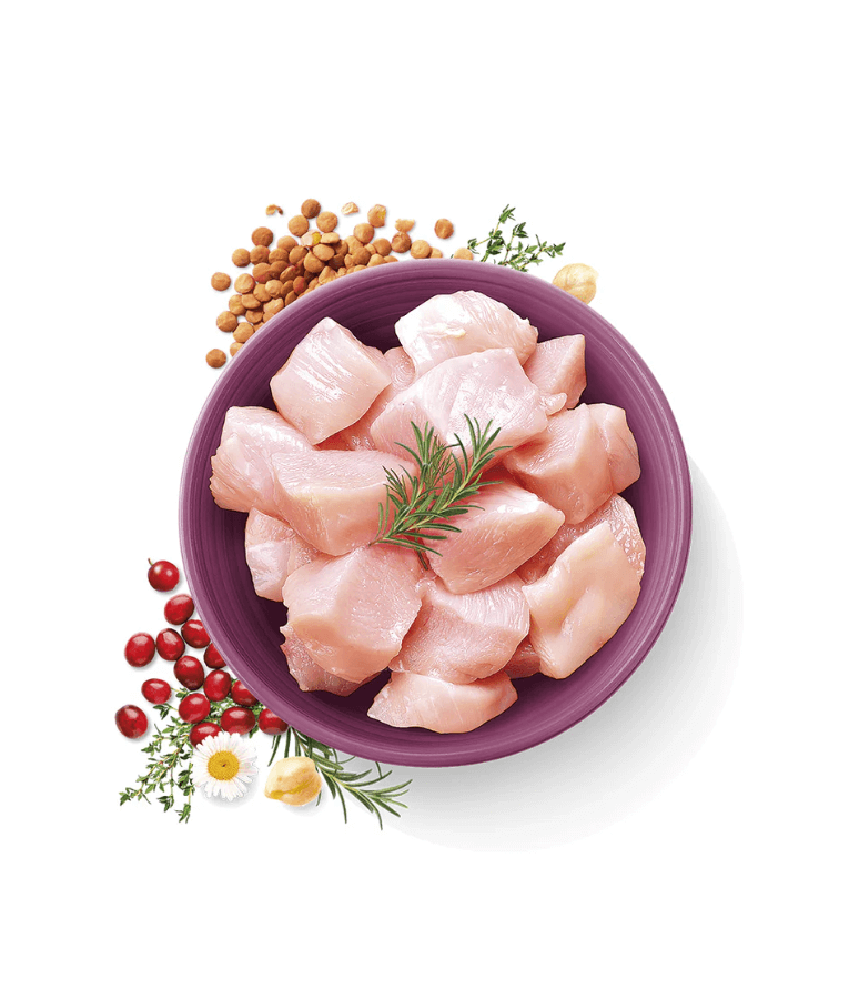 Carnilove True Fresh Cat Chicken Sterilized 1.8kg